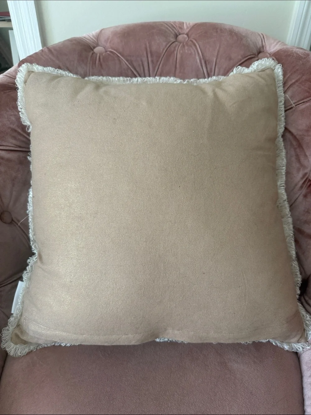 Embroidered Snowflake Holiday Pillow - Cream & Tan